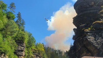 Pożar w Parku Narodowym Czeska Szwajcaria. Strażacy zrezygnowali z walki o ocalenie jednej z wsi