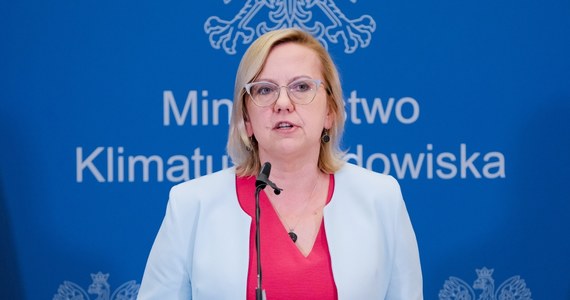 Polski nie obejmą szykowane przez Unię Europejską odgórne plany redukcji zużycia gazu - ogłosiła w Brukseli minister klimatu i środowiska Anna Moskwa. W belgijskiej stolicy rusza właśnie narada unijnych ministrów w sprawie kryzysu energetycznego i planowanych środków zaradczych.