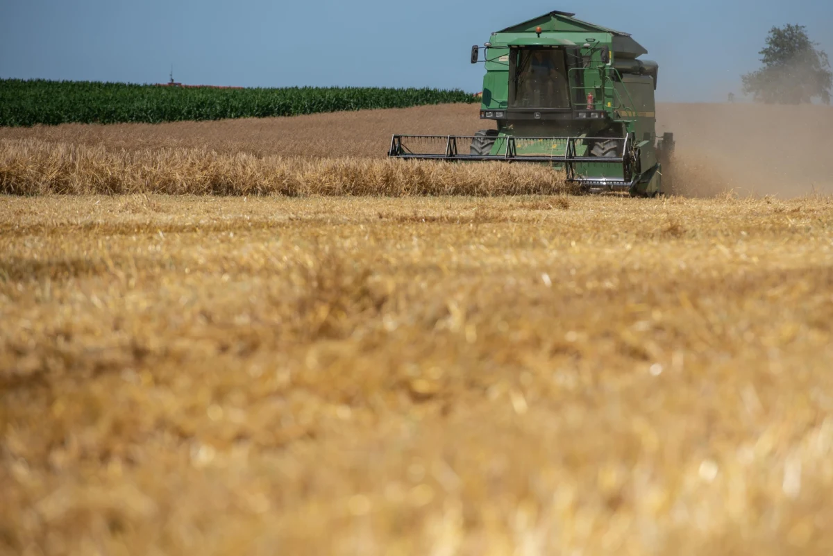 40-latek z gminy Rejowiec Fabryczny (woj. lubelskie) stracił rękę podczas koszenia pola kombajnem. Mężczyzna był trzeźwy, został przewieziony do szpitala, gdzie przeszedł operację.