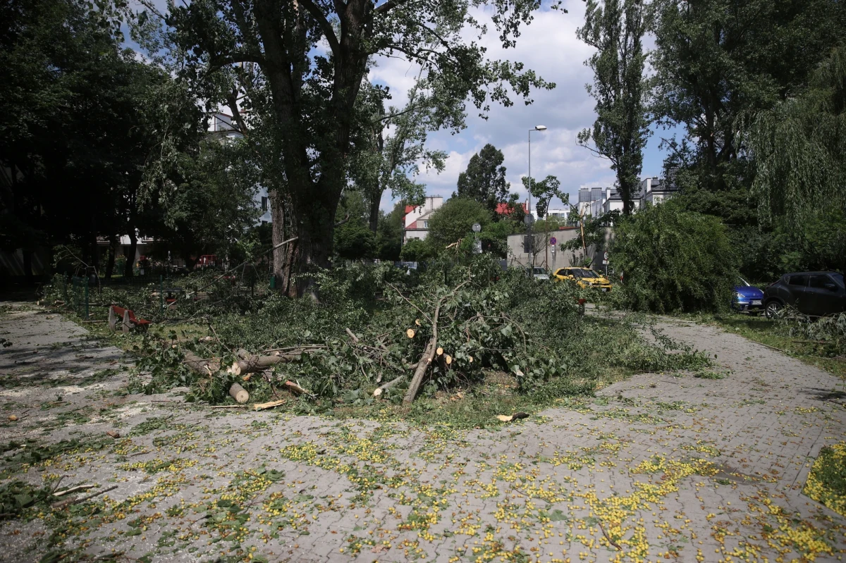 Zarząd Zieleni Miejskiej w Krakowie wprowadził zakaz wstępu do pięciu lasów na terenie miasta, które najbardziej ucierpiały wskutek sobotniej burzy. Trwają tam prace porządkowe związane z usuwaniem połamanych drzew i konarów. Potrwają one kilka dni.