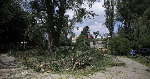 Zarząd Zieleni Miejskiej w Krakowie wprowadził zakaz wstępu do pięciu lasów na terenie miasta, które najbardziej ucierpiały wskutek sobotniej burzy. Trwają tam prace porządkowe związane z usuwaniem połamanych drzew i konarów. Potrwają one kilka dni.