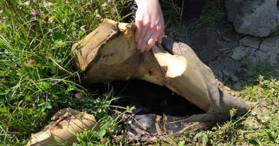 Teren w Opatkowicach, który niedawno kupiło miasto, zostanie posprzątany - zapewniają urzędnicy. W zależności od tego, co tam w przyszłości powstanie, zostaną też wykonane odpowiednie badania. Inspektorzy Wydziału Kształtowania Środowiska potwierdzili, że w nasypie są gruz i elementy budowlane. 