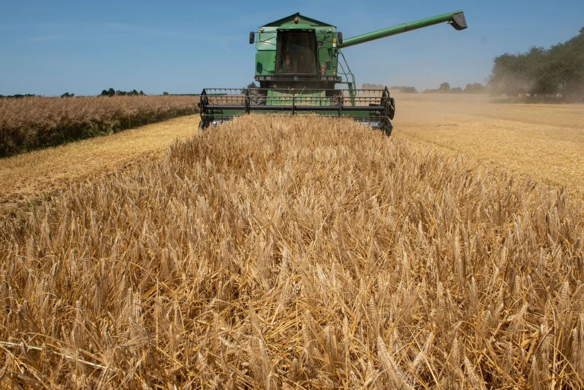 Sądeccy policjanci ustalają przyczyny i okoliczności śmiertelnego wypadku, do którego doszło wczoraj podczas żniw w miejscowości Zabrzeż w gminie Łącko. Mundurowi apelują również o rozwagę i rozsądek podczas wykonywania prac polowych.