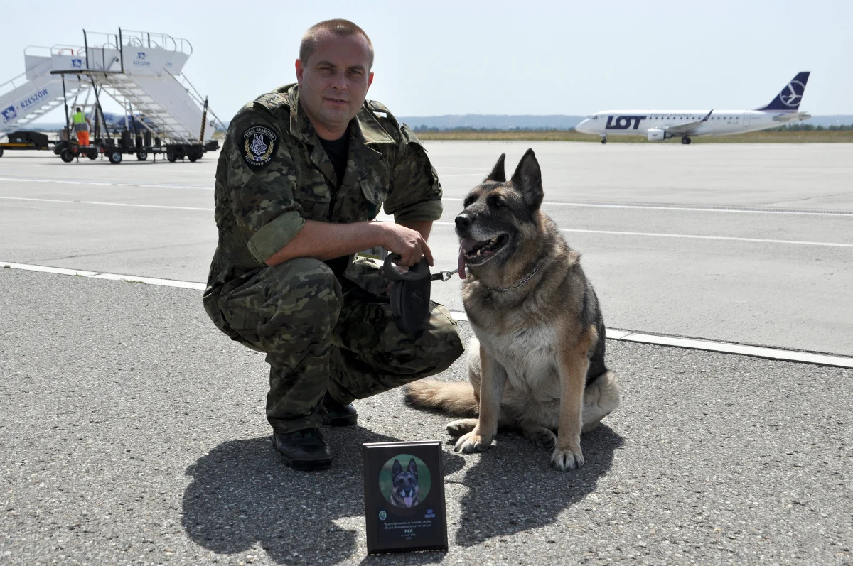 Po 10 latach służby na podrzeszowskim lotnisku w Jasionce pożegnano Inkę — psa służbowego Straży Granicznej. Swoją emeryturę spędzi pod dachem dotychczasowego opiekuna.