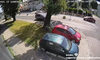Żywiec. Drzewo spadło na auto