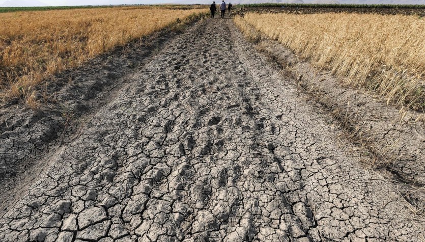 Moldova și România restricționează accesul la apă potabilă din cauza secetei
