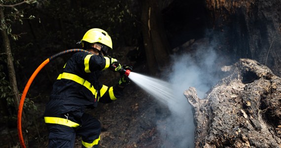 Piąty dzień strażacy walczą z ogniem w parku narodowym Czeska Szwajcaria na północy kraju. Pożar nie rozszerza się, ale wciąż powstają skupiska ognia. W akcji gaśniczej bierze udział siedem śmigłowców, w tym polski blackhawk. 