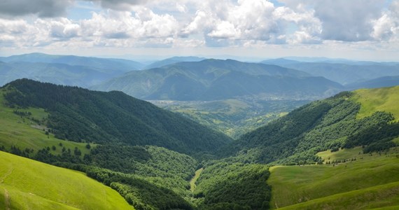 Na Podkarpaciu z początkiem sierpnia powołany zostanie kolejny rezerwat przyrody. W Rudawce Rymanowskiej koło Krosna powstanie rezerwat "Olzy". Ochronie podlegać będzie odsłonięcie łupków menilitowych. Objęto nią także porastający szczyt drzewostan, o wysokim stopniu naturalności składu gatunkowego, z wieloma interesującymi gatunkami fauny i flory. 