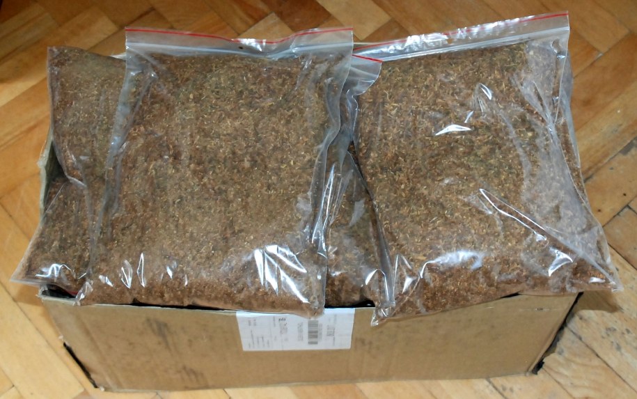 /Straż Graniczna /Materiały prasowe