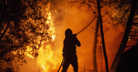 Zgodnie z szacunkami fundacji ekologicznej Franza Webera ponad 1 mln zwierząt, dzikich i domowych, zginęło w Hiszpanii w ciągu ostatnich tygodni z powodu pożarów. Według danych oficjalnych, ogień strawił do tej pory ponad 80 tys. hektarów lasów i upraw rolnych.