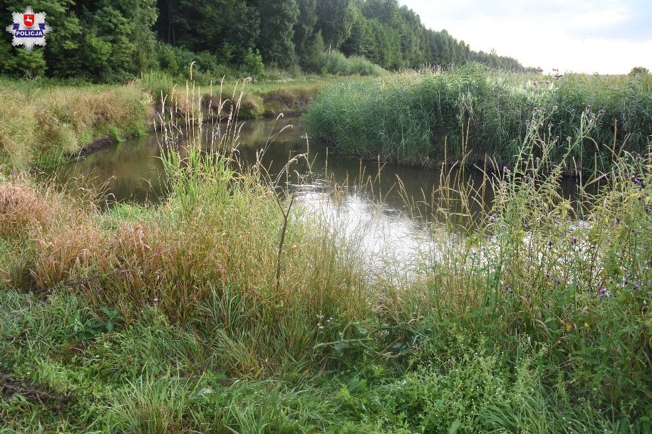 /Policja /Materiały prasowe