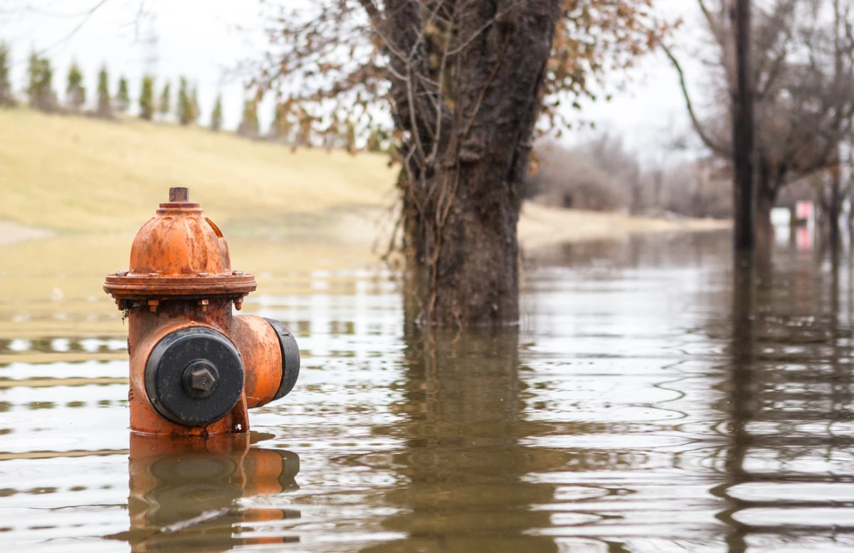 Co najmniej 15 osób, w tym dzieci, zginęło w ogromnych powodziach, które nawiedziły stan Kentucky w USA, niszcząc tam miejsca zamieszkania najbiedniejszych społeczności regionu - poinformowały dziś lokalne władze. Liczba ofiar może się zwiększyć, cały czas trwa akcja poszukiwawczo-ratownicza.