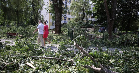 Ponad 100 złamanych i ponad 200 uszkodzonych drzew - to bilans nawałnicy, która niemal tydzień temu, w sobotę, przetoczyła się nad Krakowem. Nie są to ostateczne dane, bo mieszkańcy zgłaszają jeszcze wiatrołomy, a służby wciąż zajmują się sprzątaniem.

