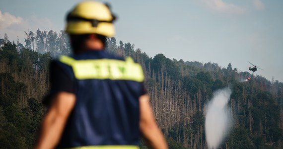 Czeska policja poinformowała, że trzy osoby dostały się w sobotę do zamkniętej z powodu pożaru części Parku Narodowego Czeska Szwajcaria, gdzie od tygodnia płoną lasy. Strażnicy parku znaleźli też miejsca, w których ktoś rozpalił ognisko, choć jest to zakazane.