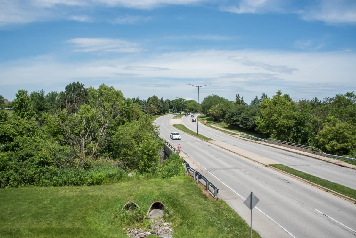 W północnej części stanu Illinois jadący pod prąd samochód spowodował w niedzielę zderzenie, w wyniku którego śmierć poniosło siedem osób. Wśród ofiar jest pięcioro dzieci.