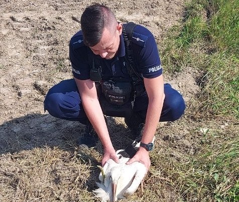 /Podkarpacka Policja /Materiały prasowe