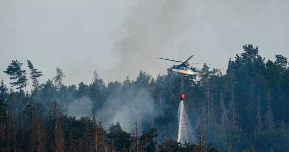 900 strażaków w dalszym ciągu walczy z pożarem w Parku Narodowym Czeska Szwajcaria. Są oni wspierani z powietrza przez śmigłowce i samoloty gaśnicze. Problemem ponownie jest pogoda - w Czechach wzrosły temperatury, brakuje też deszczu.