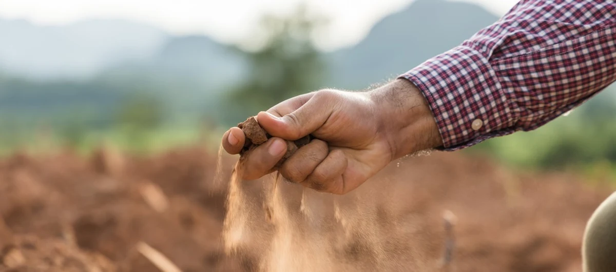 Belgijski Królewski Instytut Meteorologiczny poinformował, że w lipcu w Belgii spadło zaledwie 5 mm deszczu, co czyni miniony miesiąc najsuchszym w tym kraju od 137 lat.