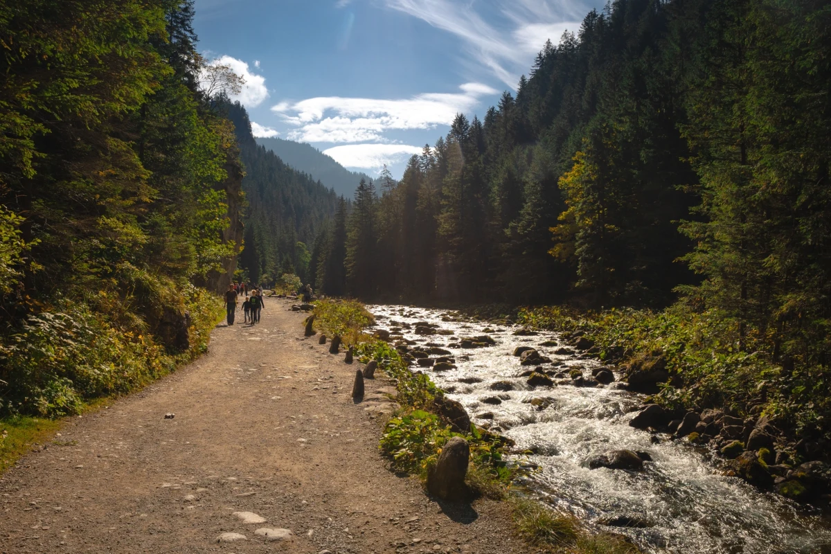 Mały niedźwiadek pojawił się na szlaku pełnym ludzi w Dolinie Kościeliskiej w Tatrach. "To nie jest nic nadzwyczajnego" - mówią ekolodzy - "Ważne, że wszyscy zachowali się prawidłowo". 