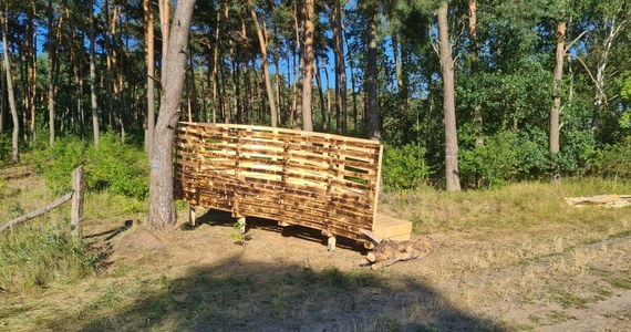 W podpoznańskim Nadleśnictwie Babki studenci z Polski i zza granicy stworzyli dostępną dla każdego drewnianą platformę widokową. Niezwykły leśny mebel powstał w ramach kolejnych warsztatów Mood for Wood.

 