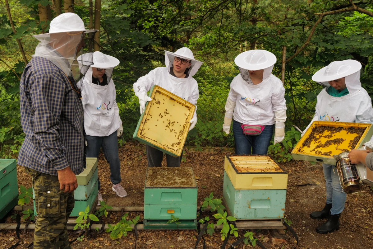 60 osób uczy się, jak opiekować się pszczelą rodziną podczas bezpłatnych warsztatów, zorganizowanych przez łódzki magistrat. Zajęcia odbywają się dwa razy w miesiącu, w weekendy.