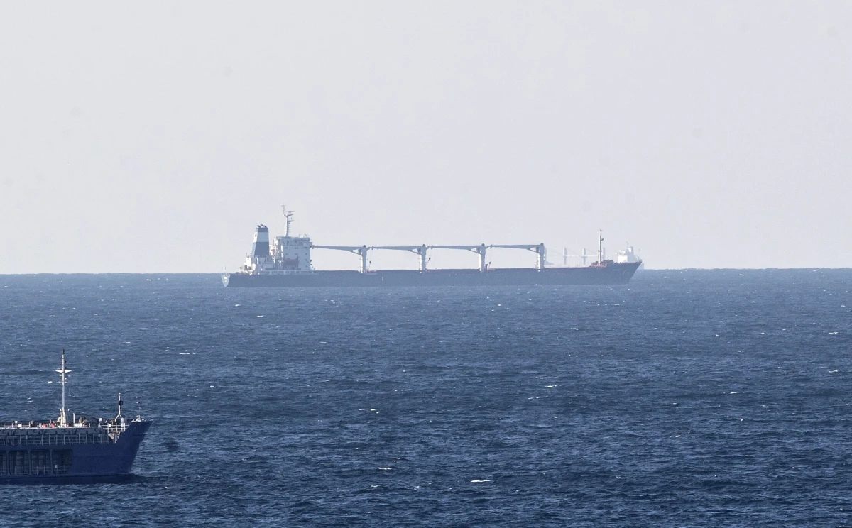 Statek Razoni transportujący ukraińskie zboże dotarł wieczorem do portu w Stambule - informuje turecki dziennik "Daily Sabah". W środę rano ma się odbyć jego inspekcja. 