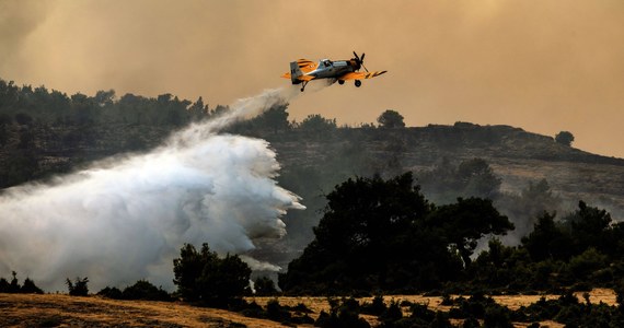 W Grecji spłonęło ponad 13 tysięcy hektarów lasów w sześciu największych z kilkudziesięciu pożarów, jakie wybuchły w całym kraju w lipcu - poinformował we wtorek portal Ekathimerini.