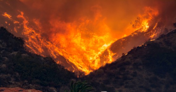Pożar w północnej Kalifornii, który w niedzielę przeistoczył się w największy w tym roku kataklizm w tym stanie, zabił co najmniej cztery osoby. Blisko 6 tys. ludzi zostało objętych nakazem ewakuacji.