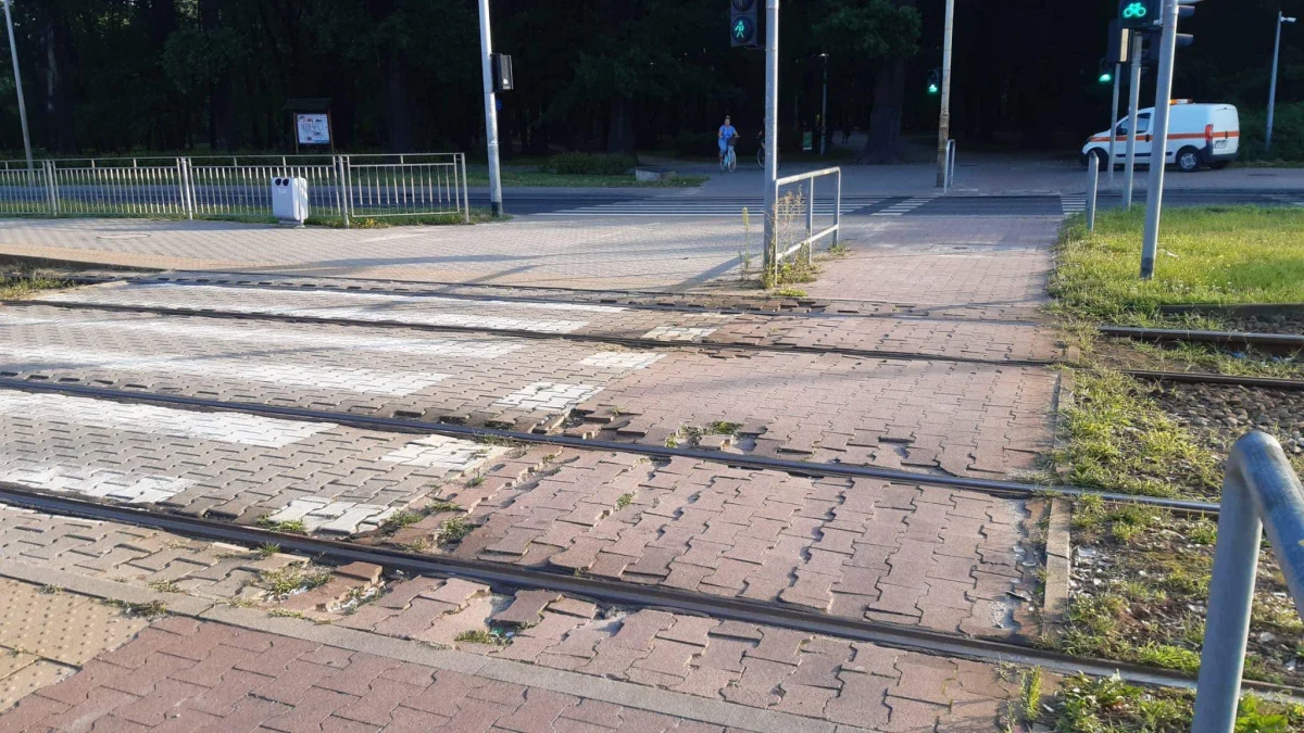 MPK Wrocław rozpoczyna kompleksowy remont przejść przez torowiska. Dzięki niemu pasażerom będzie łatwiej dojść do przystanków. Gruntowna modernizacja obejmie przejścia w siedmiu lokalizacjach. Niestabilną i zużytą kostkę brukową zastąpią betonowe płyty. Prace potrwają do końca września.