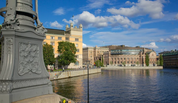 Szwedzki polityk oskarżony o chwalenie dyktatora