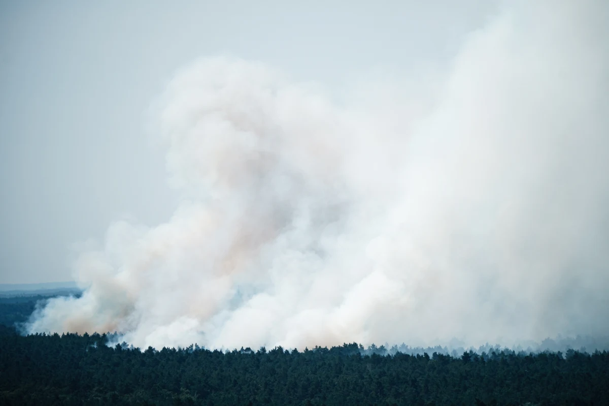 Do silnej eksplozji doszło w niemieckim składzie materiałów wybuchowych i fajerwerków. Magazyn zlokalizowany jest na terenie berlińskiego lasu Grunewald. Po eksplozji wybuchł pożar, który objął co najmniej 1,5 hektara lasu. Ogień doprowadził m.in. do czasowego wstrzymania ruchu pociągów między Berlinem a Poczdamem - informuje portal "Tagesschau".