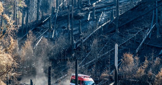 Czescy strażacy alpiniści musieli wycofać się z niedostępnego terenu w Parku Narodowym Czeska Szwajcaria. Śmigłowiec, którym lecieli, wzniecał ogień i nie pozwolił na dociągnięcie węży z wodą. Strażacy muszą znaleźć inne rozwiązanie - oznajmili kierujący akcją gaśniczą.
