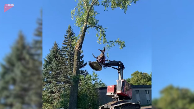 Profesjonalny sprzęt do wycinki drzew i doświadczony operator to połączenie sprawiające, że praca idzie łatwo. Powyższe nagranie pokazuje, z jaką finezją nowocześni drwale potrafią ściąć nawet wysokie drzewo.