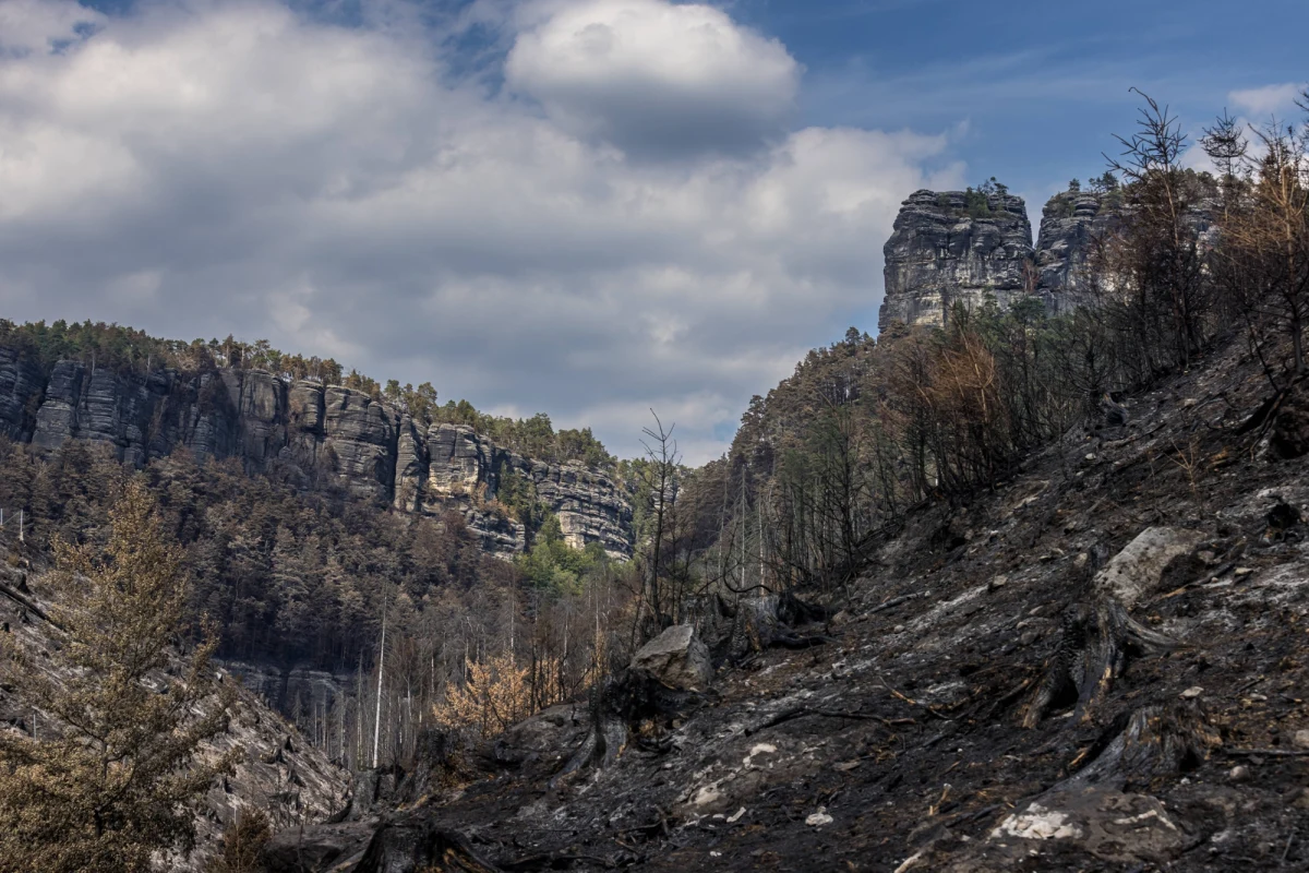 Dwa samoloty specjalne Canadair z Włoch wróciły po południu do gaszenia pożaru w Parku Narodowym Czeska Szwajcaria. Po tygodniu pracy swoją działalność zakończyli szwedzcy piloci z maszynami Air Tractor. W rejonie pożaru wciąż pojawiają się nowe ogniska.