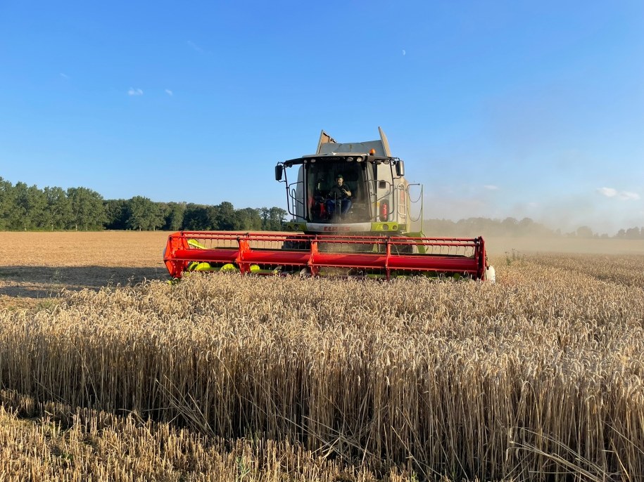 /Krzysztof Kot, RMF FM