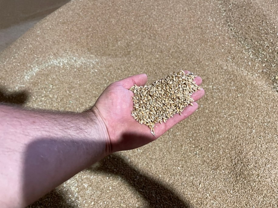 /Krzysztof Kot, RMF FM