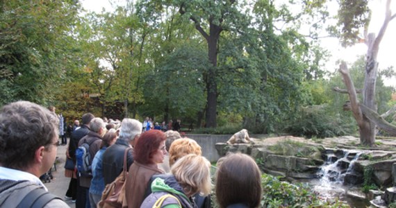Zakaz wstępu ze zwierzętami do zoo niektórzy odwiedzający wrocławski obiekt próbują ominąć w nietypowy sposób. Ogród zoologiczny we Wrocławiu opublikował na swojej stronie listę prób nielegalnego wprowadzenia psa.
