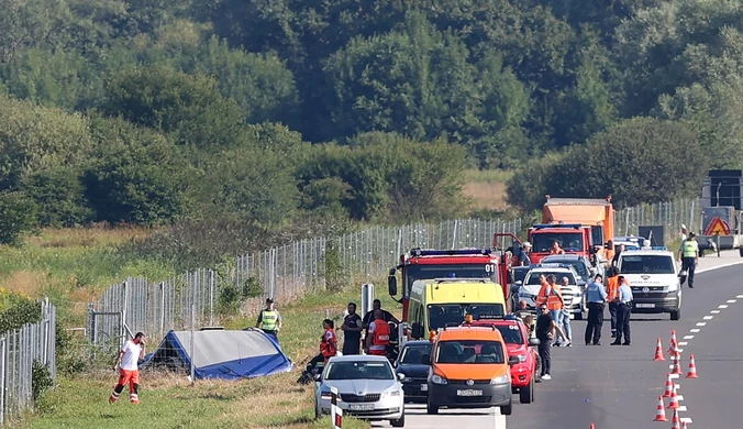 Ranni pielgrzymi ledwo mówili po polsku. "Byli w szoku"