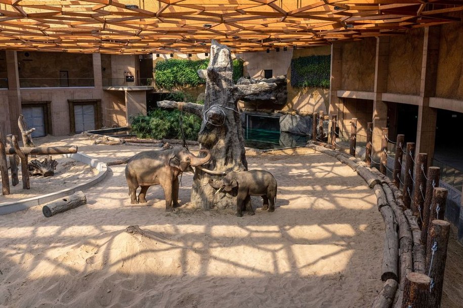 /lodz.pl /Materiały prasowe