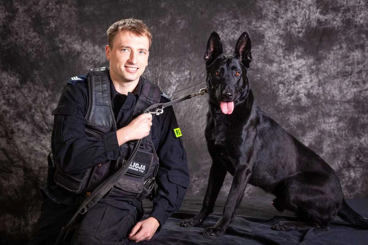 Policyjny pies służbowy Ninja doprowadził funkcjonariuszy do nietrzeźwego kierowcy, który spowodował kolizję i uciekł z miejsca zdarzenia. Mężczyzna porzucił auto, którym kierował, pobiegł na jedno z krakowskich osiedli i ukrył się w zaroślach. Dzięki policyjnemu czworonogowi, pirat drogowy został zatrzymany. 