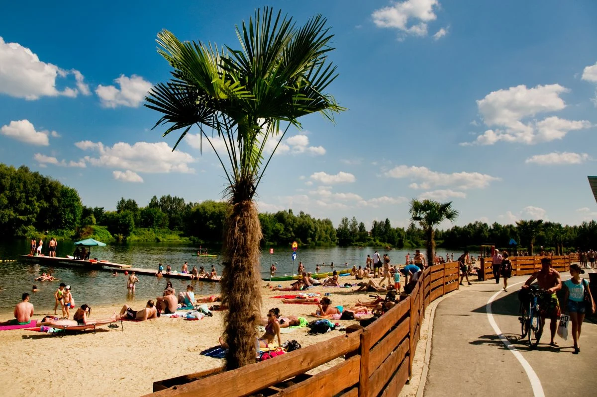 Miejskie kąpielisko Żwirownia w Rzeszowie, które w zeszły piątek zostało zamknięte z powodu podejrzenia zakwitu sinic, zostało otwarte. Badania wykazały, że w wodzie nie ma tych niebezpiecznych dla zdrowia bakterii, a są jedynie niegroźne glony.
