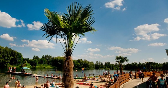 Miejskie kąpielisko Żwirownia w Rzeszowie, które w zeszły piątek zostało zamknięte z powodu podejrzenia zakwitu sinic, zostało otwarte. Badania wykazały, że w wodzie nie ma tych niebezpiecznych dla zdrowia bakterii, a są jedynie niegroźne glony.
