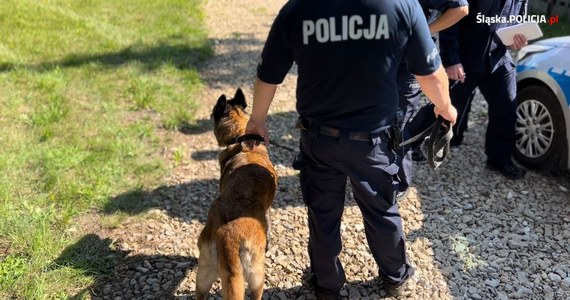 Makabryczne odkrycie w miejscowości Gruszewnia niedaleko Kłobucka w woj. śląskim. Kobieta znalazła w domu jednorodzinnym dwa ciała. Wszystko wskazuje na to, że 70-letnia kobieta i jej 48-letnia córka zostały zamordowane - informuje śląska policja. Trwają poszukiwania zabójcy.

