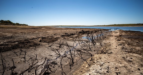 ​Fale upałów przerosły oczekiwania wynikające z modeli klimatycznych. Lipcowe rekordy temperatur w Wielkiej Brytanii zostały przekroczone wcześniej, niż zakładali naukowcy - czytamy w Nature.