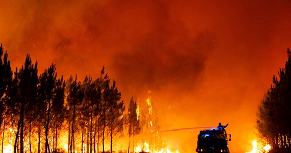 146 polskich strażaków pojedzie do Francji, aby pomóc tamtejszym strażakom w opanowaniu szalejących na południowym zachodzie pożarów lasów. To odpowiedź MSWiA na prośbę francuskich władz. Postawiona w stan gotowości grupa ratownicza jeszcze dziś ma wyruszyć w rejon, gdzie pożary objęły już ponad 6 tysięcy hektarów lasów.
