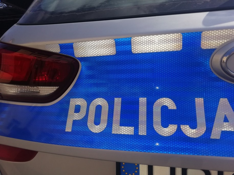 /Policja /Materiały prasowe