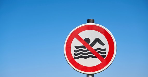 Sinice pojawiły się na kolejnych kąpieliskach na Mazowszu. Sanepid ostrzega, że w tych miejscach nie można wchodzić do wody.