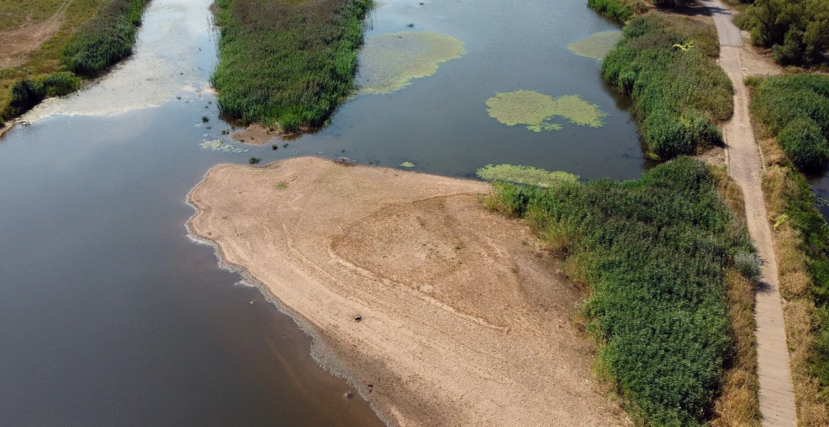 Kłopoty z wodą to nie tylko suche krany, ale także droższa żywność i problemy z prądem. To scenariusze, które stają się coraz bardziej realne - pisze w piątek "Rzeczpospolita".