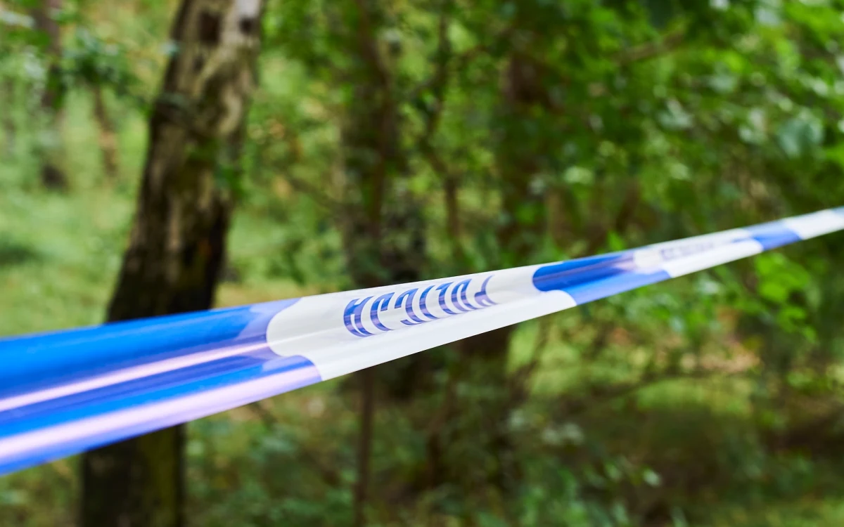 Policja i prokuratura wyjaśniają okoliczności makabrycznego odkrycia w Warszawie. W jednej z altan śmietnikowych znaleziono odcięte ludzie kończyny zapakowane w foliowe worki.