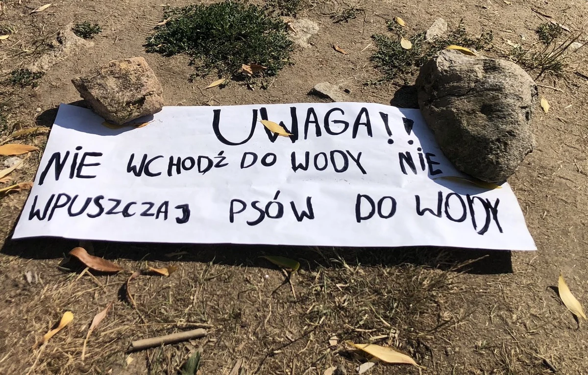 "Uwaga, nie wchodź do wody" - takie ostrzeżenia, autorstwa samych mieszkańców, można zobaczyć na terenach nad Odrą. Mieszkający tam ludzie na własną rękę informują o zagrożeniu skażoną wodą.